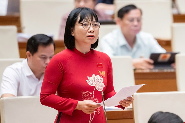 Đại biểu Quốc hội lo ngại "công ty ma" lợi dụng khi chuyển sang cơ chế hậu kiểm- Ảnh 2.
