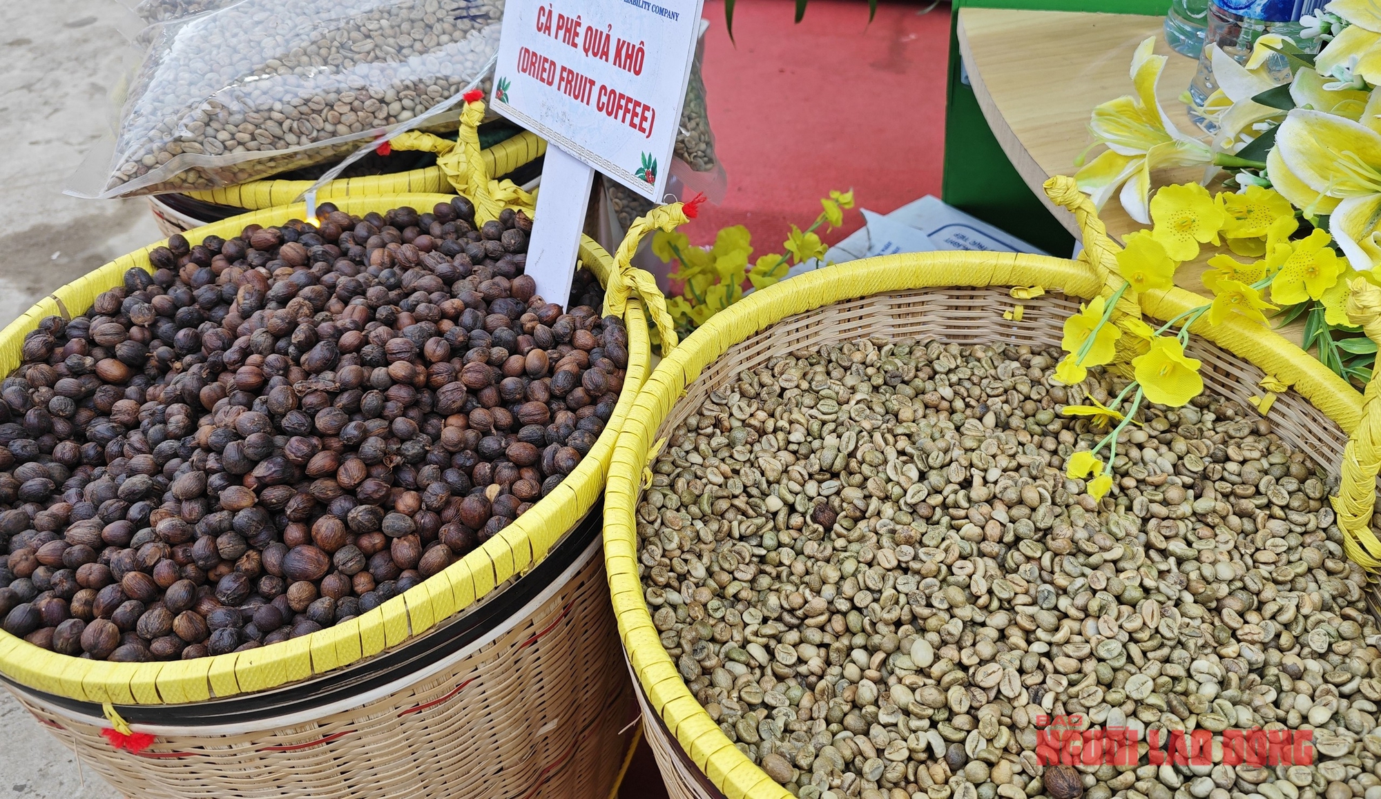 Giá cà phê hôm nay 17-5: Giảm mạnh tới 3 con số- Ảnh 1.