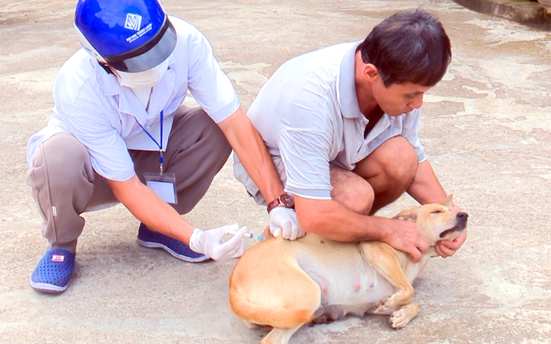 Bị chó nuôi trong nhà cắn trước Tết, người đàn ông vừa lên cơn “sợ gió, sợ nước” rồi tử vong 