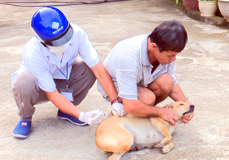 Bị chó nuôi trong nhà cắn trước Tết, người đàn ông vừa lên cơn “sợ gió, sợ nước” rồi tử vong - Ảnh 1.