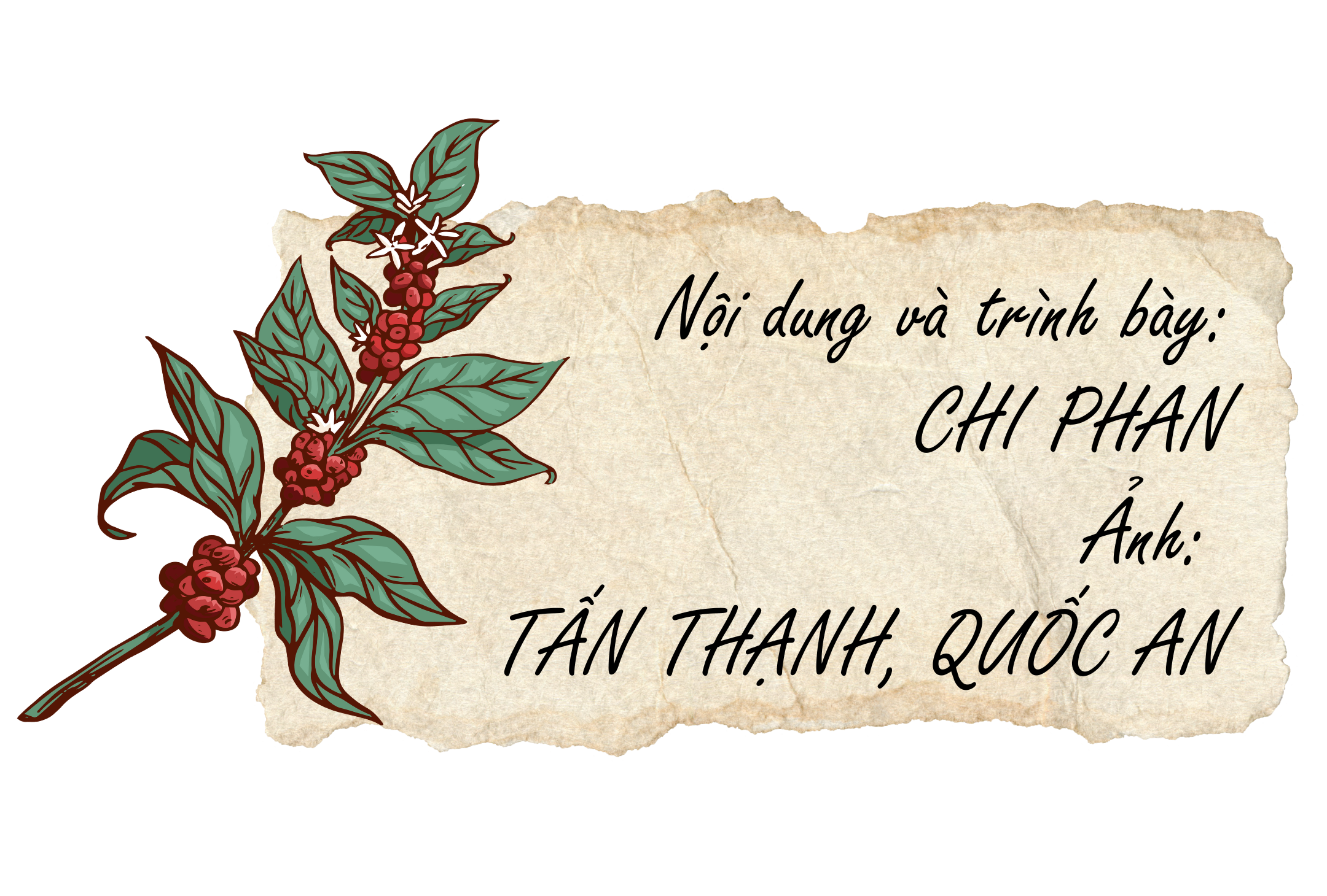 Workshop cà phê và trà: Hành trình đa giác quan, lan tỏa giá trị văn hóa- Ảnh 23.
