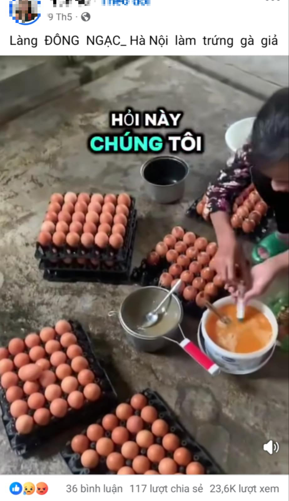 Hiệp hội Gia cầm Việt Nam lên tiếng về thông tin "trứng gà giả"- Ảnh 1.