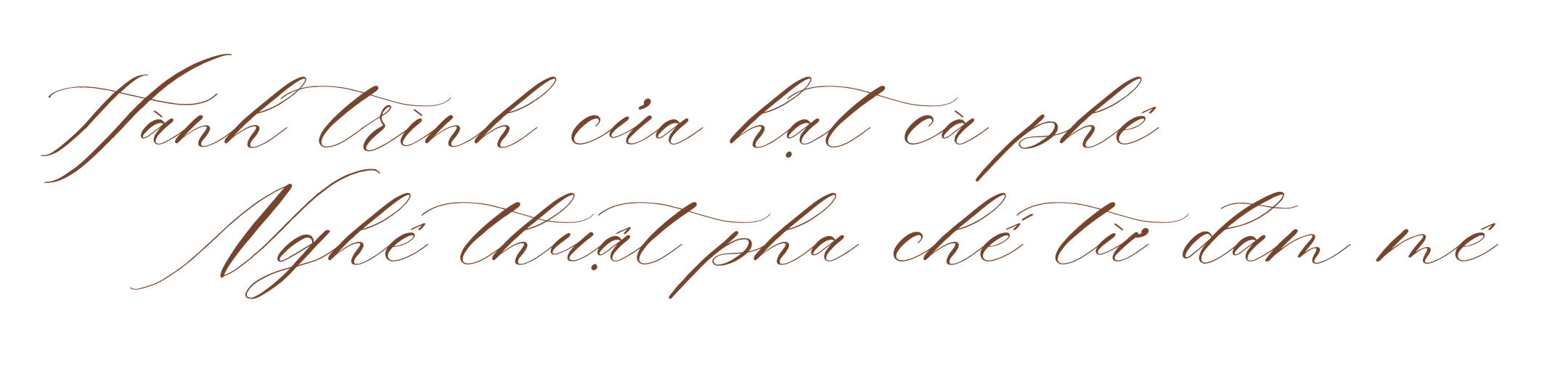 Workshop cà phê và trà: Hành trình đa giác quan, lan tỏa giá trị văn hóa- Ảnh 1.