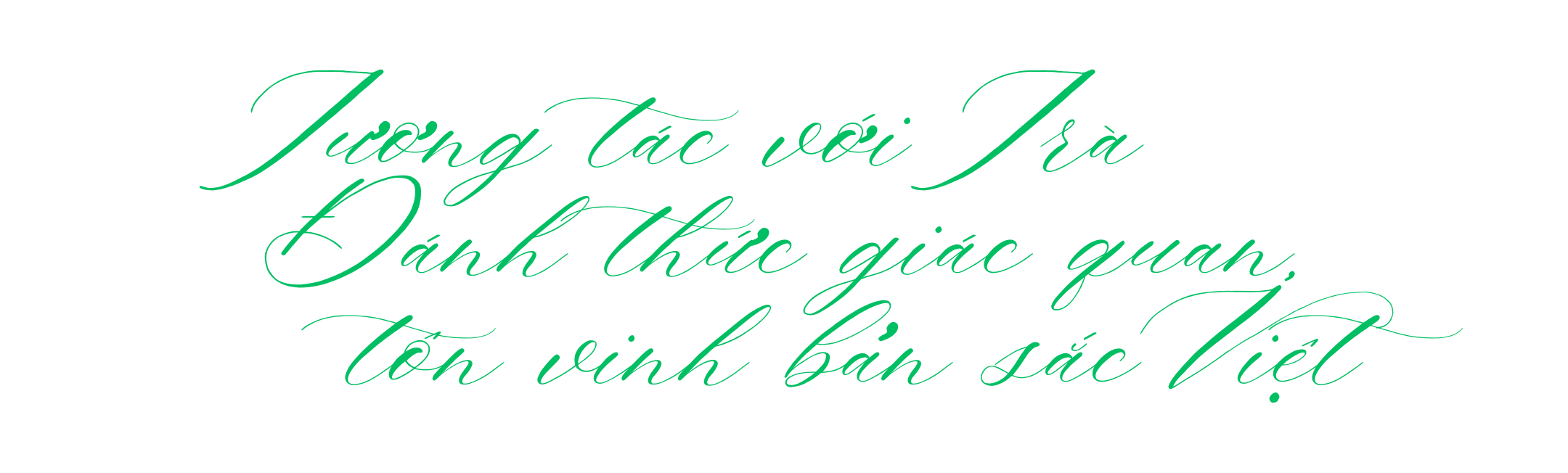 Workshop cà phê và trà: Hành trình đa giác quan, lan tỏa giá trị văn hóa- Ảnh 11.