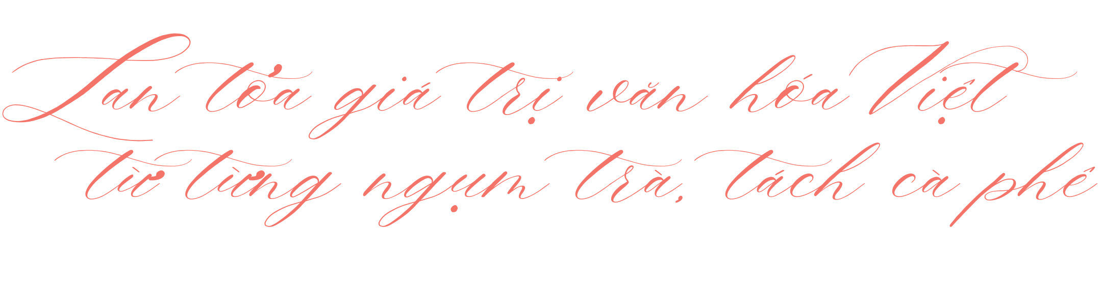 Workshop cà phê và trà: Hành trình đa giác quan, lan tỏa giá trị văn hóa- Ảnh 20.