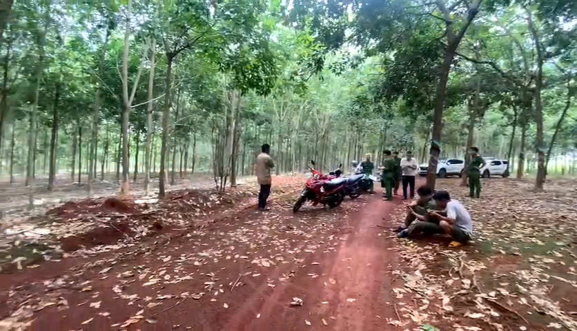 Bàng hoàng phát hiện thi thể nam giới treo lơ lửng trên cây cao su - Ảnh 1.