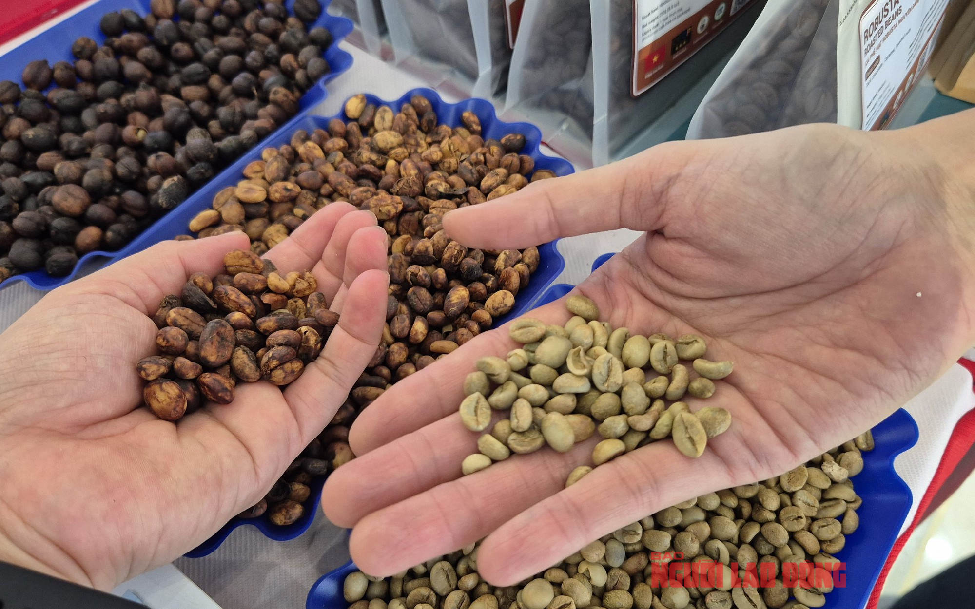 Gi&aacute; c&agrave; ph&ecirc; h&ocirc;m nay 20-5: lấy lại đ&agrave; tăng, kỳ hạn Robusta tăng ba con số- Ảnh 1.