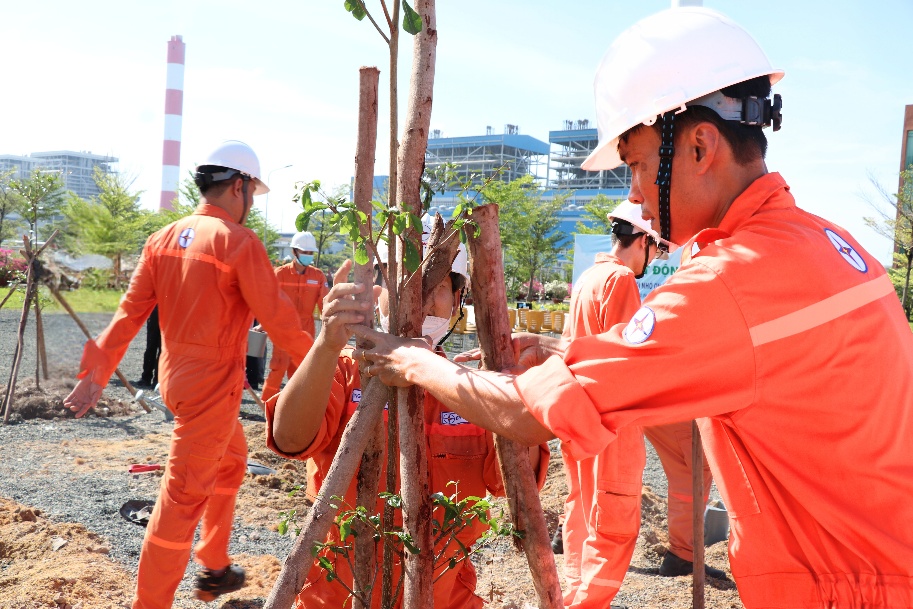 Vĩnh T&acirc;n 2 phủ xanh th&ecirc;m hơn 300 c&acirc;y nh&acirc;n dịp Tết trồng c&acirc;y năm 2025- Ảnh 4.