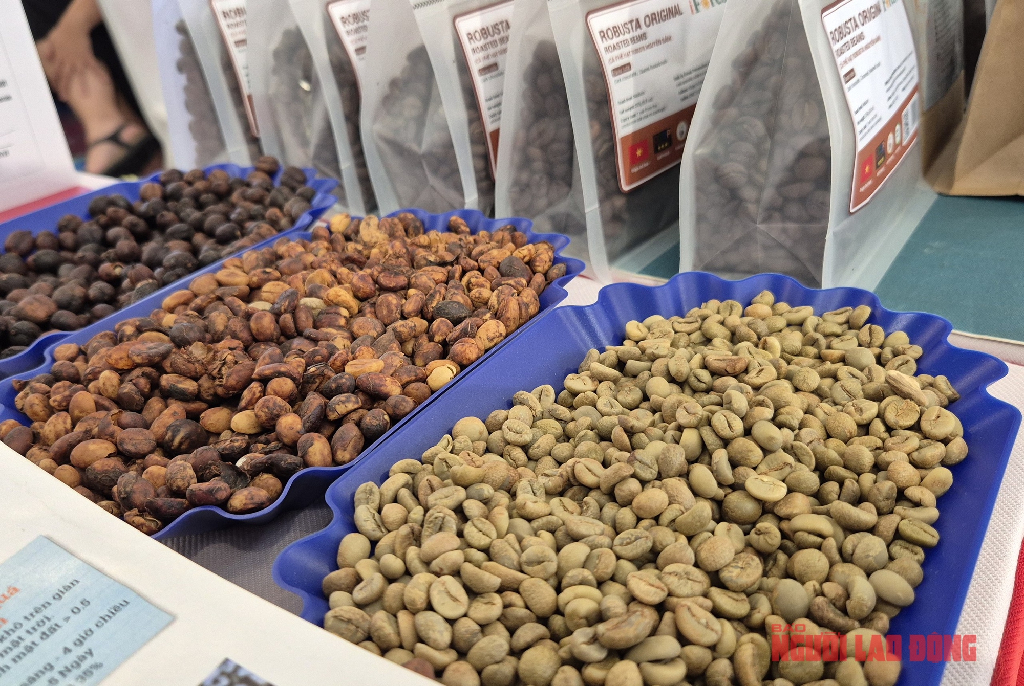 Gi&aacute; c&agrave; ph&ecirc; h&ocirc;m nay 20-5: lấy lại đ&agrave; tăng, kỳ hạn Robusta tăng ba con số- Ảnh 2.