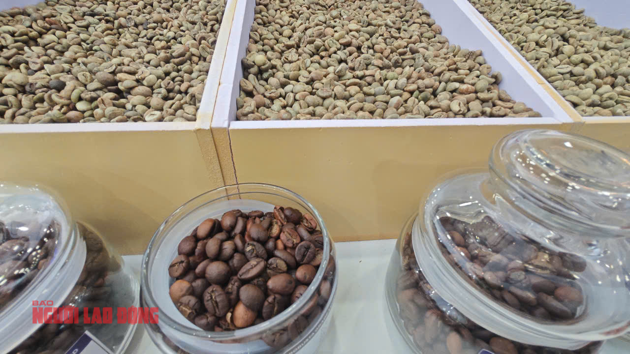 Gi&aacute; c&agrave; ph&ecirc; h&ocirc;m nay 23-5: Bốc hơi mạnh 3 con số- Ảnh 1.