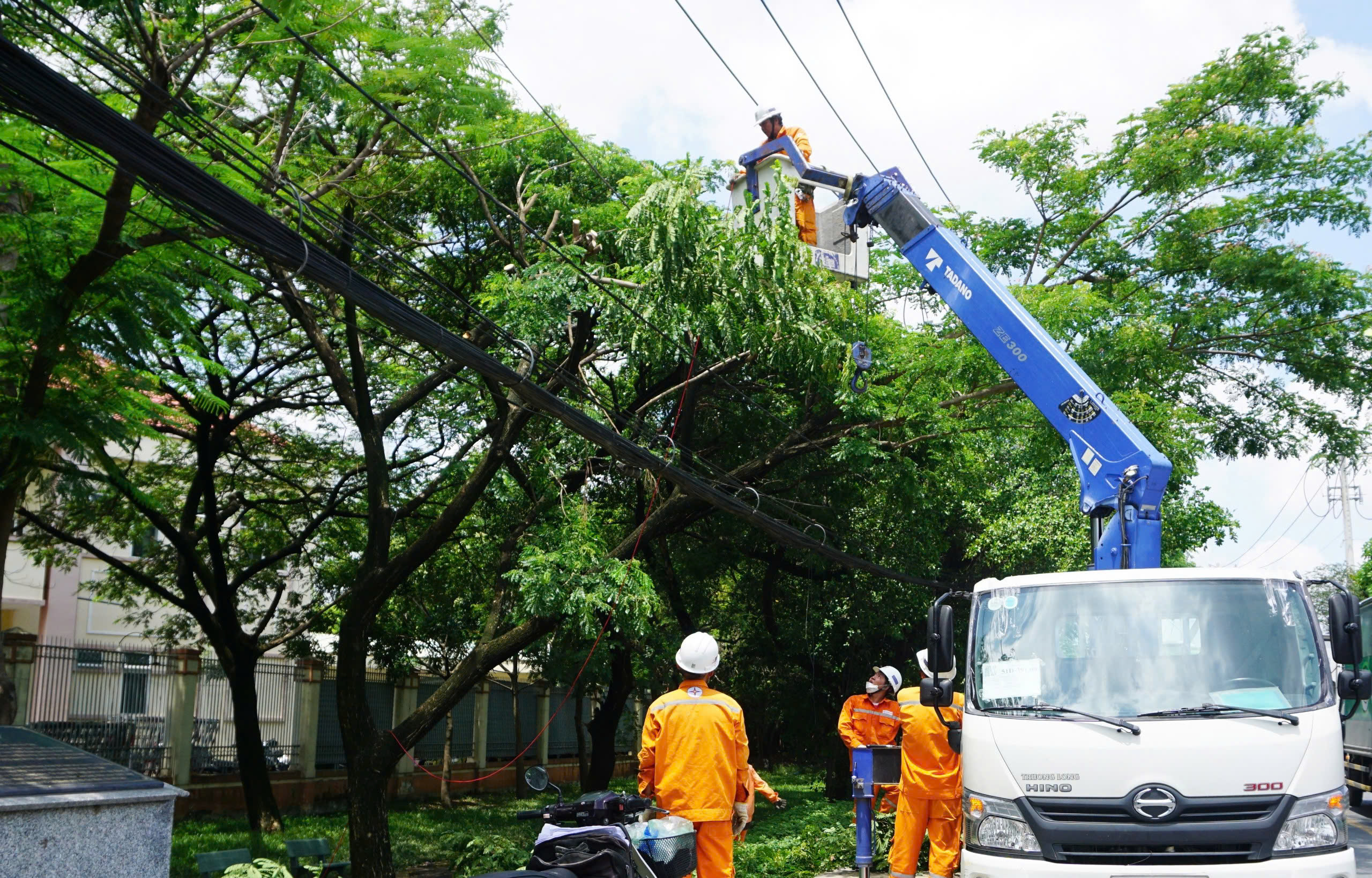 Ngành điện TP HCM tăng cường bảo đảm an toàn mùa mưa, bão- Ảnh 1.