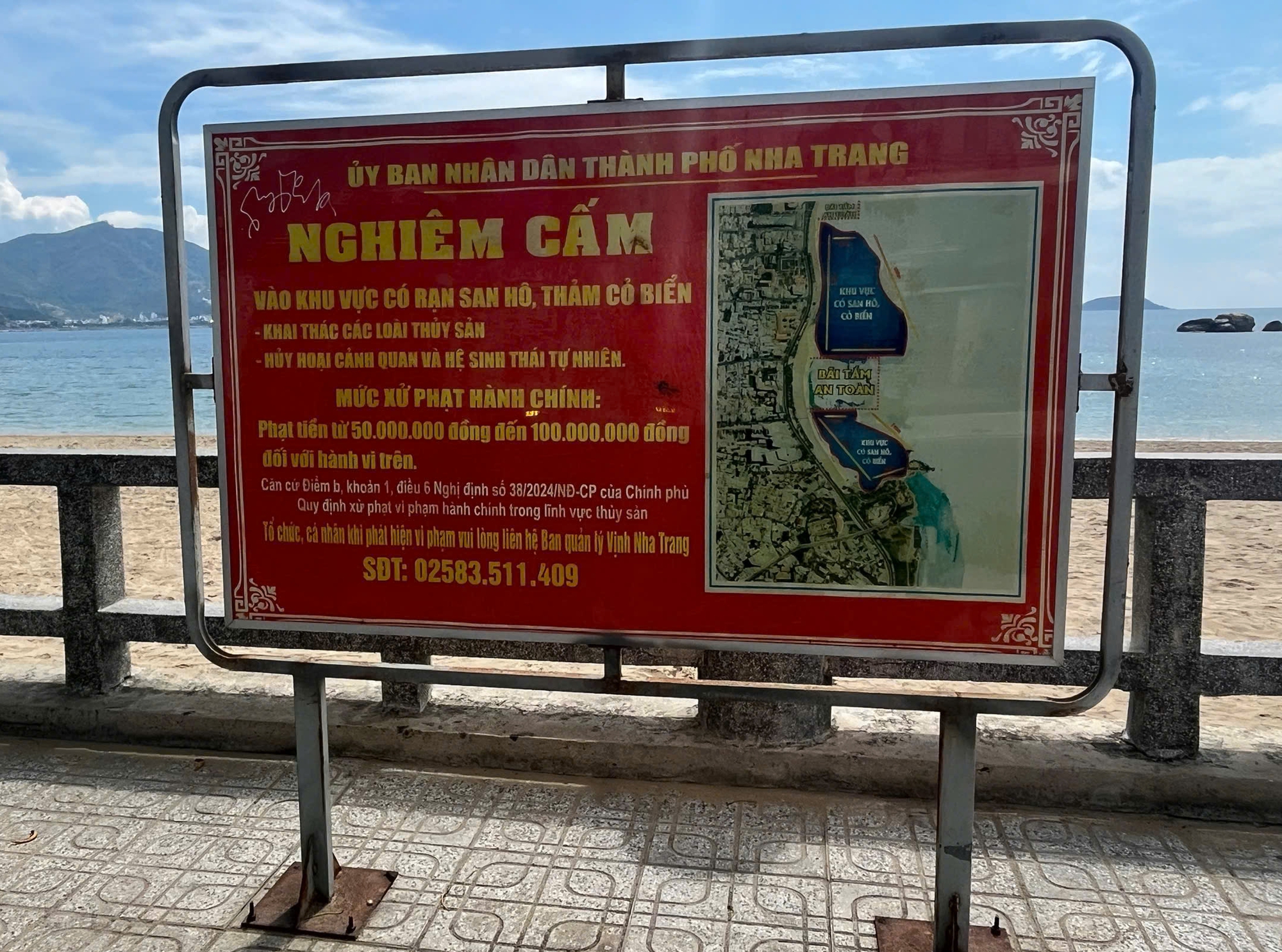 BQL Vịnh Nha Trang n&oacute;i g&igrave; về clip lặn ngắm c&aacute; ở H&ograve;n Chồng g&acirc;y tranh c&atilde;i?- Ảnh 2.