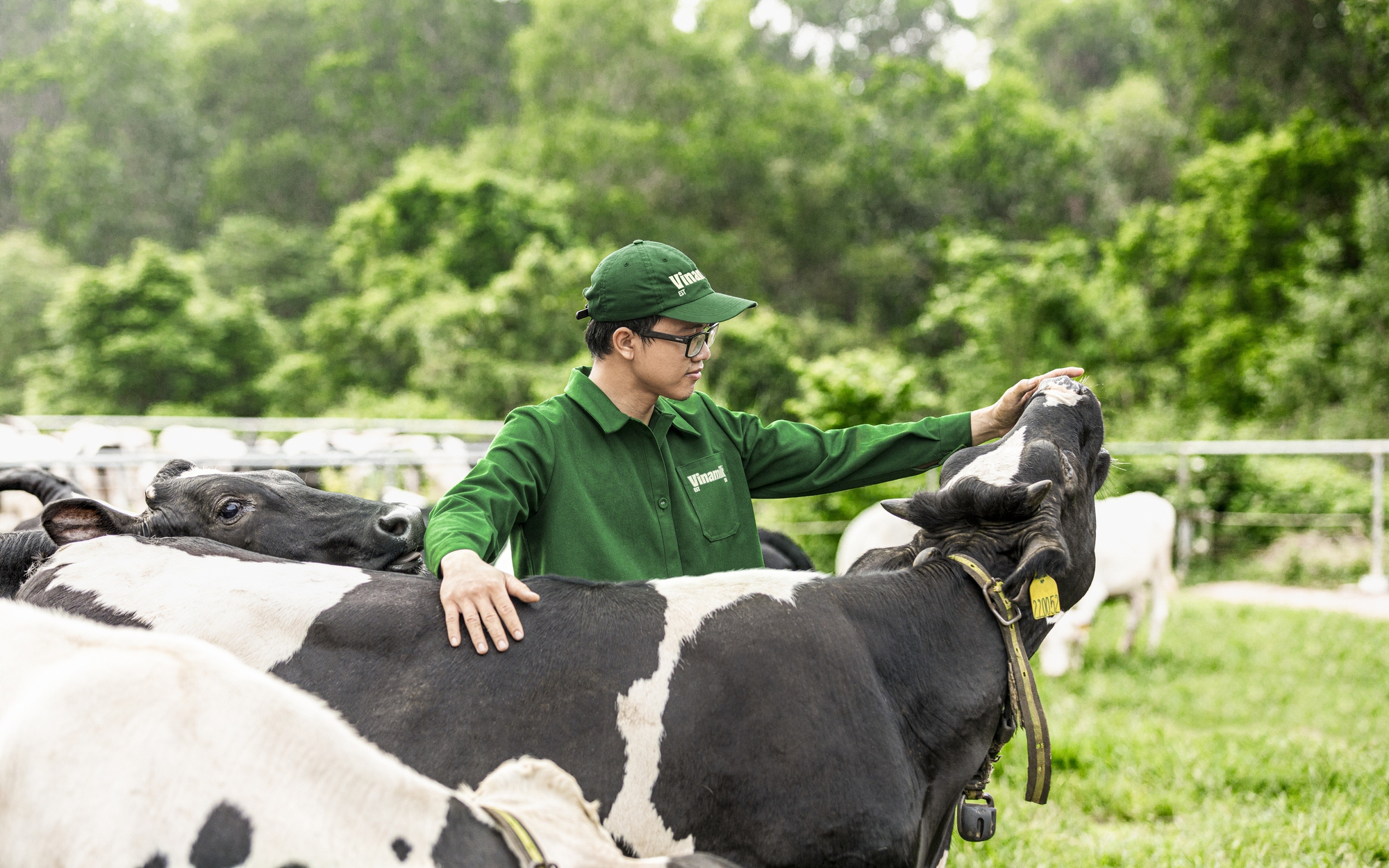 400 phép thử, 200 kiểm định: Vinamilk đặt lại chuẩn sữa tươi Việt