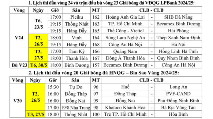 V-League sẽ tạm ngưng để thực hiện nghi thức Quốc tang- Ảnh 1.