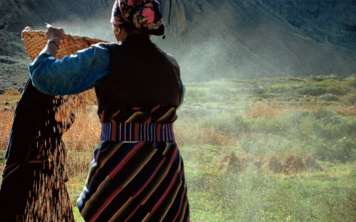Ở cao nguyên Tây Tạng, con người đang tiến hóa ngoạn mục