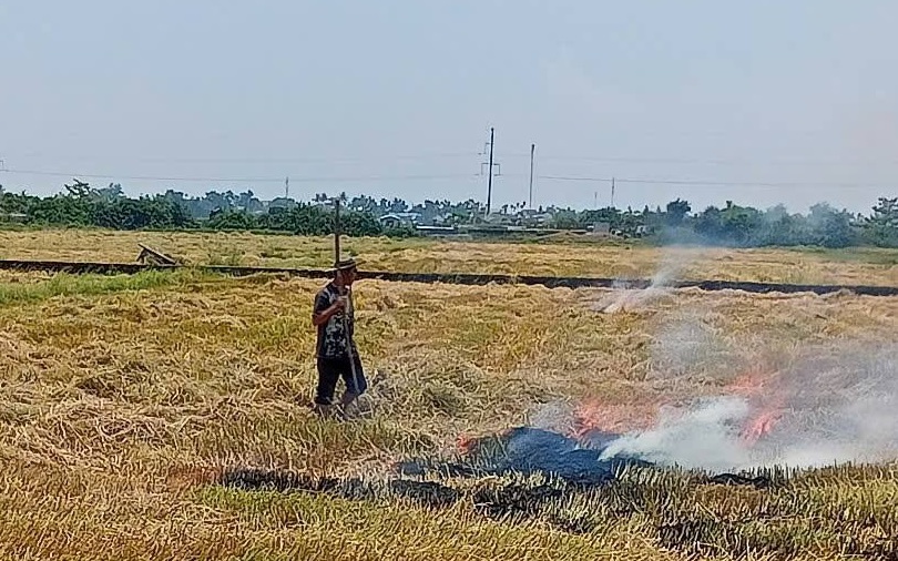 Ngăn chặn đốt rơm rạ trên đồng