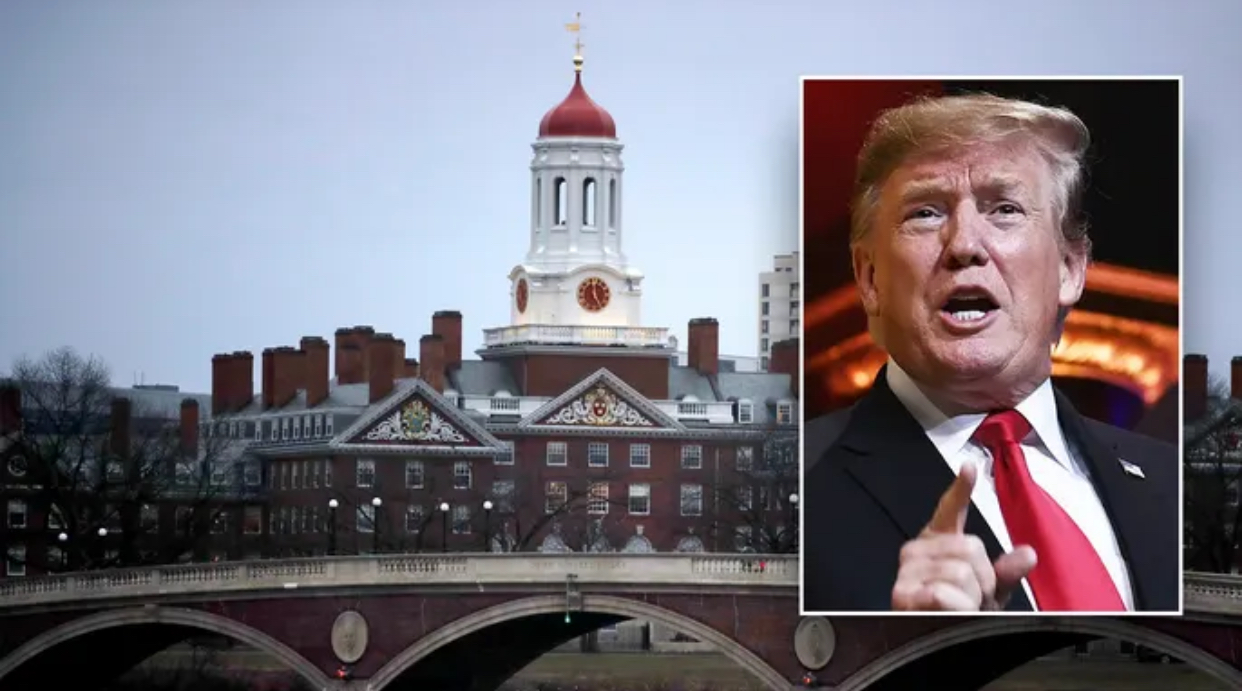 Tổng thống Donald Trump muốn Đại học Harvard l&agrave;m r&otilde; một chuyện - Ảnh 1.