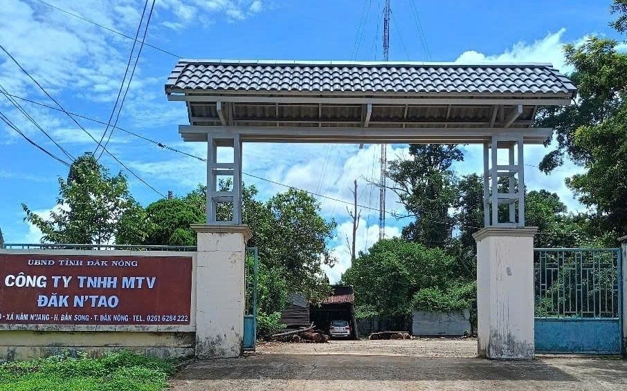 Nhiều cán bộ kiểm lâm, bảo vệ rừng bị tấn công, 1 phó giám đốc trọng thương
