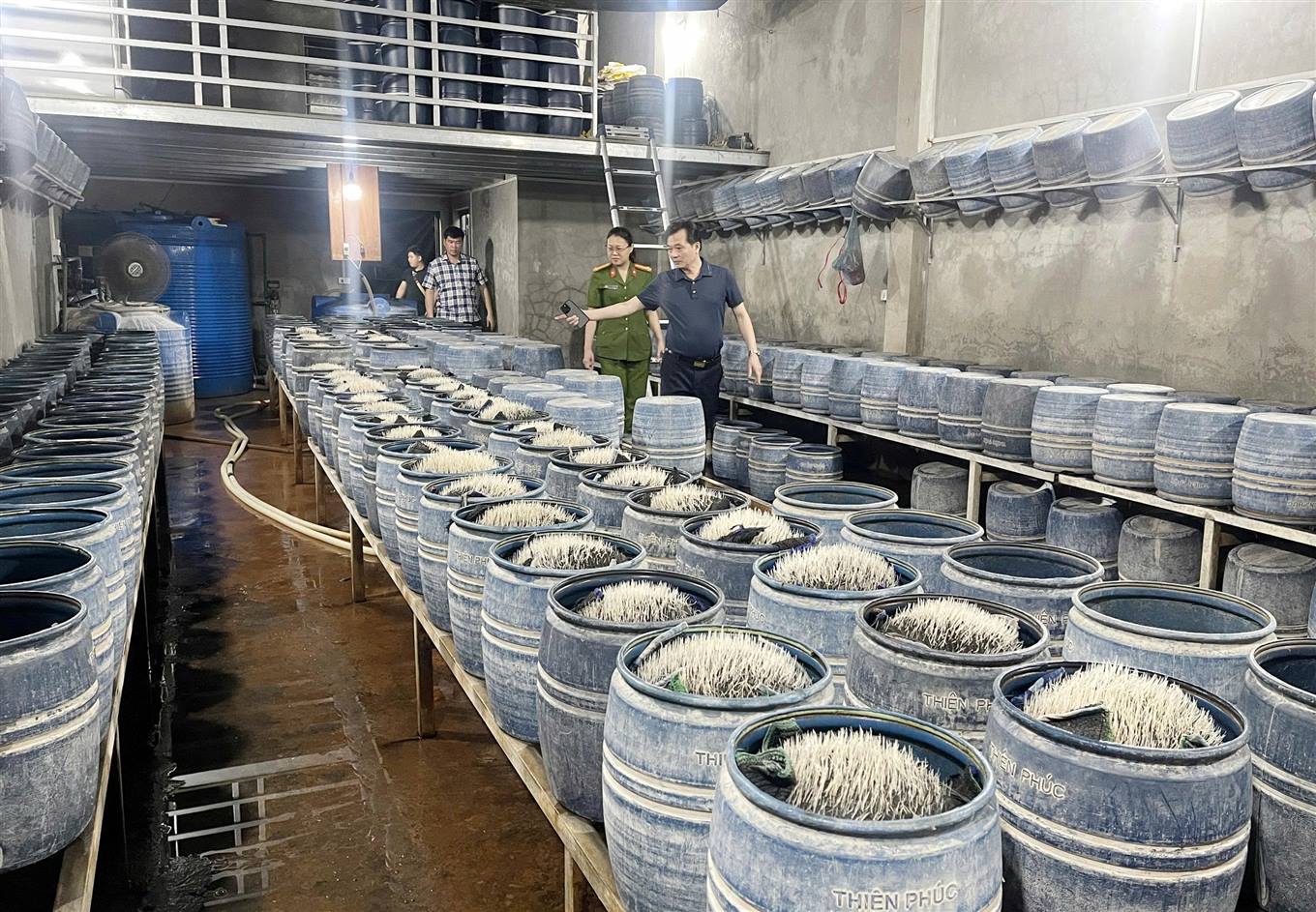 Cận cảnh, d&ugrave;ng h&oacute;a chất độc hại để sản xuất gần 350 tấn gi&aacute; đỗ b&aacute;n cho người d&acirc;n - Ảnh 1.