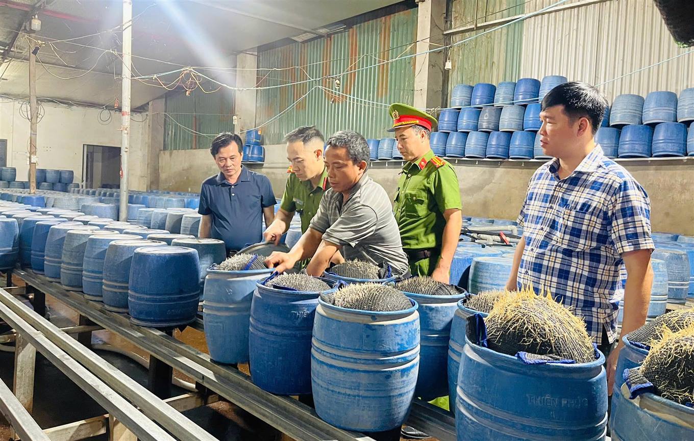 Cận cảnh, d&ugrave;ng h&oacute;a chất độc hại để sản xuất gần 350 tấn gi&aacute; đỗ b&aacute;n cho người d&acirc;n - Ảnh 2.