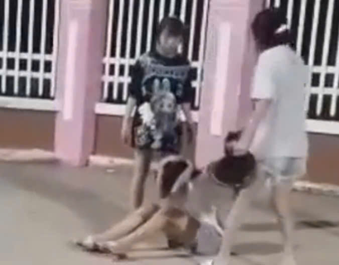 Th&ecirc;m 2 vụ việc đ&aacute;ng buồn đối với ng&agrave;nh gi&aacute;o dục ở An Giang- Ảnh 1.