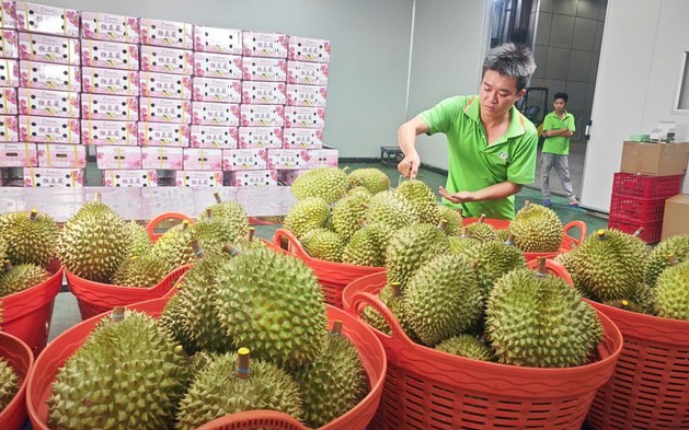 Cục Hải quan chỉ đạo ưu tiên thông quan mặt hàng sầu riêng