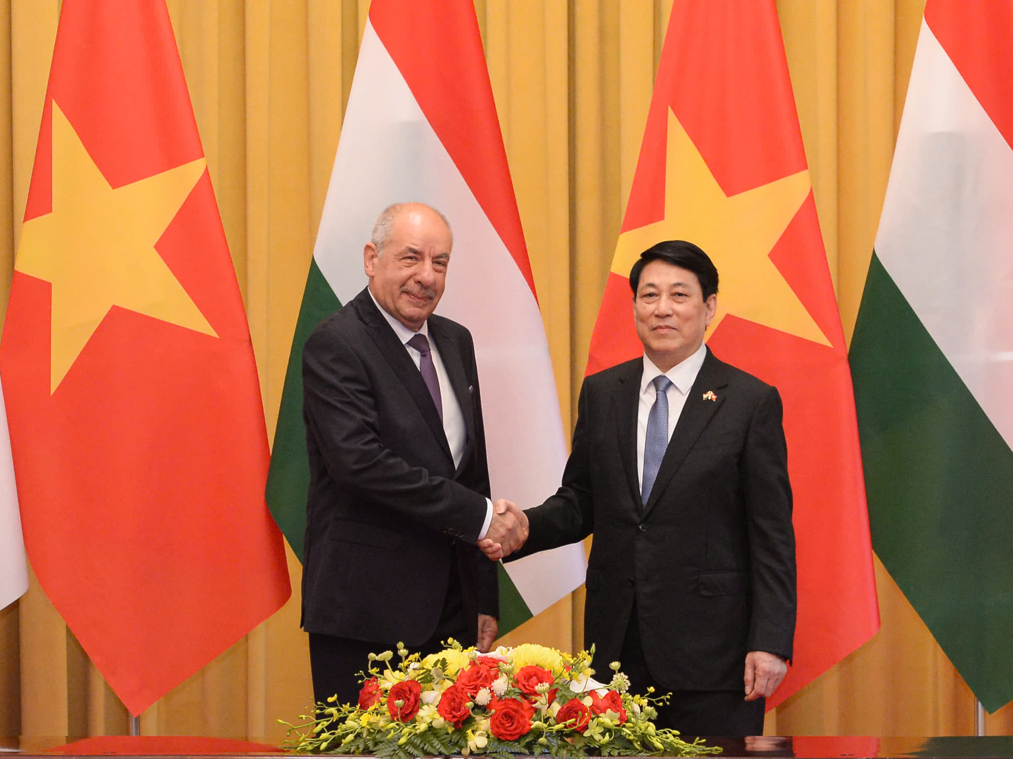 Chủ tịch nước Lương Cường chủ tr&igrave; lễ đ&oacute;n ch&iacute;nh thức Tổng thống Hungary - Ảnh 11.