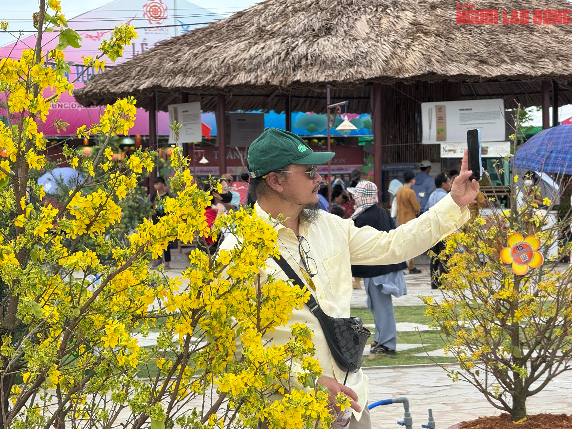 Hơn 350 gốc mai bung nở giữa m&ugrave;a h&egrave; ch&agrave;o mừng Vesak Li&ecirc;n hợp quốc- Ảnh 7.