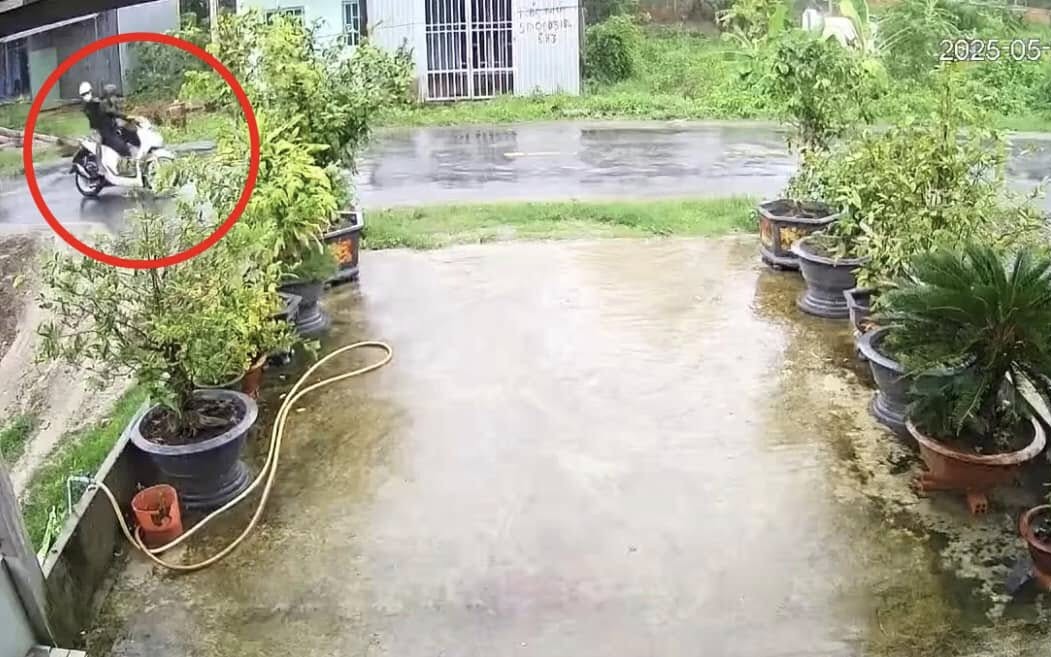 Cây phượng ngã đổ làm đứt dây điện, 2 người bị điện giật tử vong