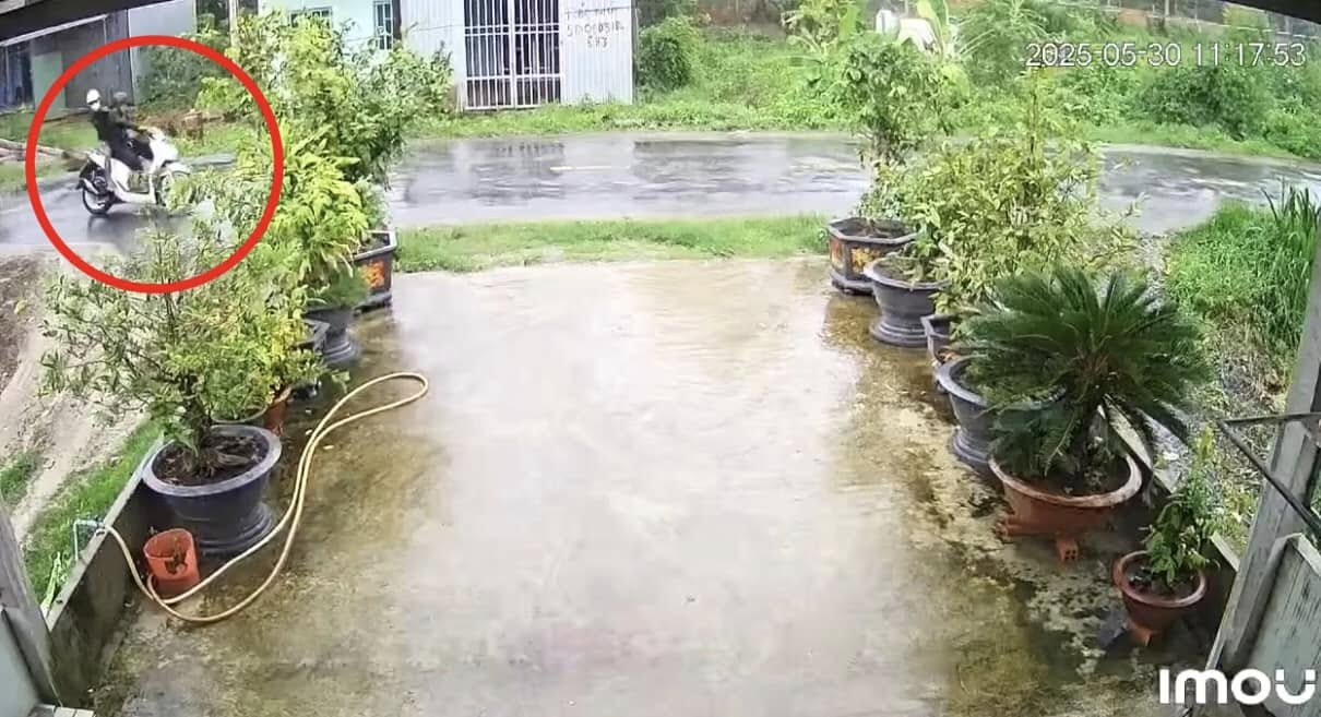C&acirc;y phượng ng&atilde; k&eacute;o theo d&acirc;y điện bị đứt, khiến 2 thợ sửa xe bị điện giật tử vong - Ảnh 3.