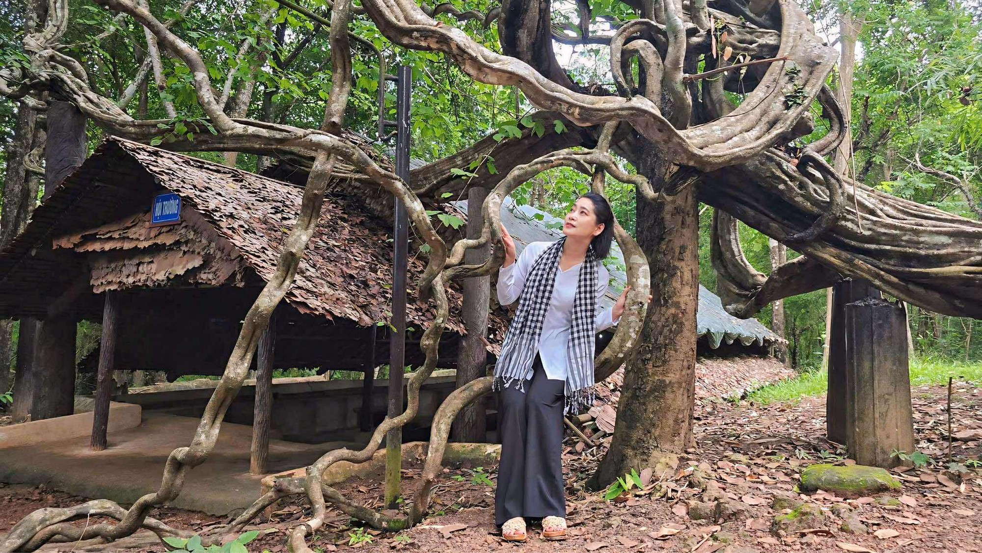 NSƯT Tuyết Thu: "T&ocirc;i đ&atilde; đi qua những dấu ch&acirc;n lịch sử tại T&agrave; Thiết" - Ảnh 1.