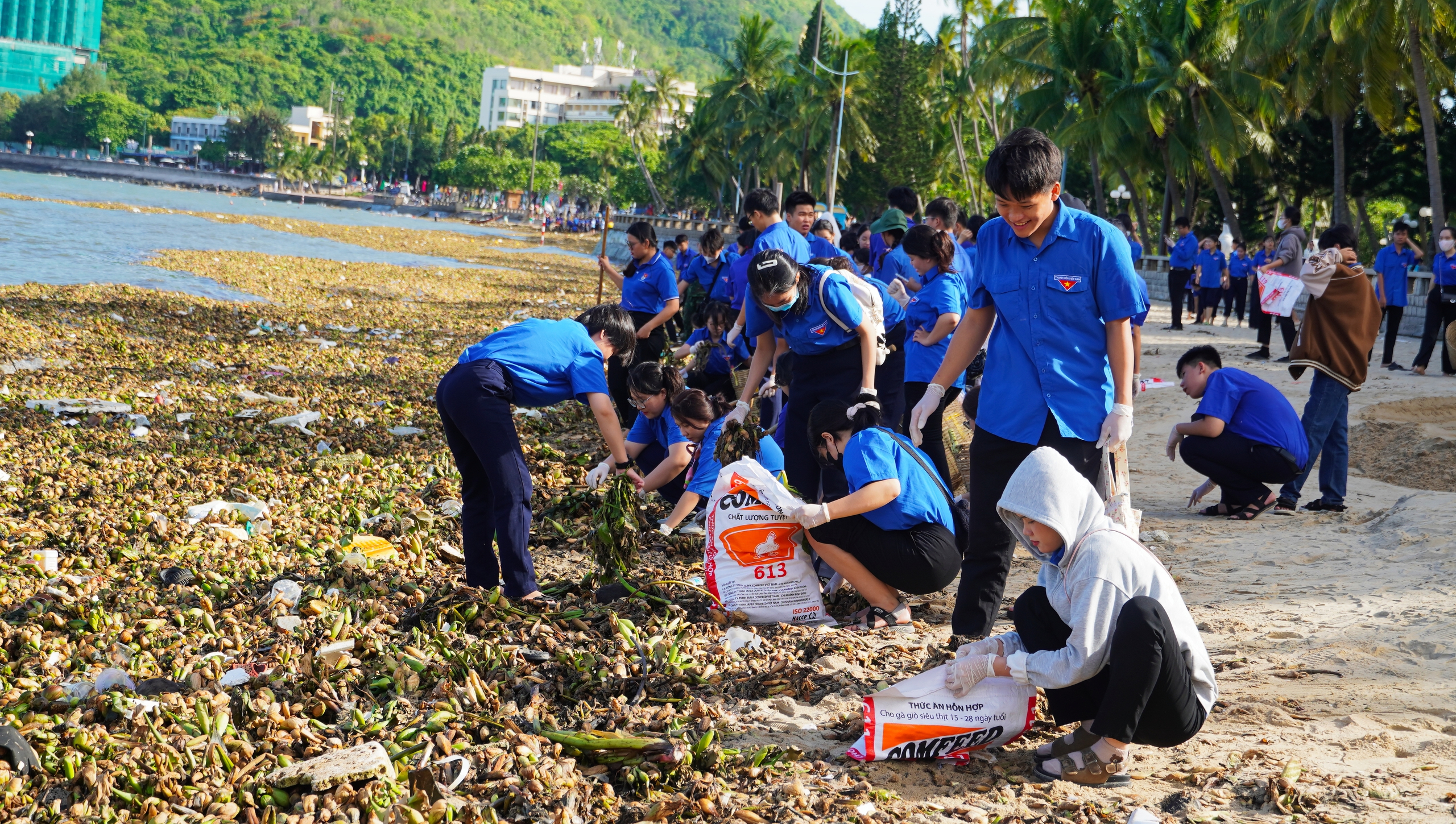 Hơn 300 người chung tay "giải cứu" Bãi Trước Vũng Tàu khỏi rác đại dương- Ảnh 1.