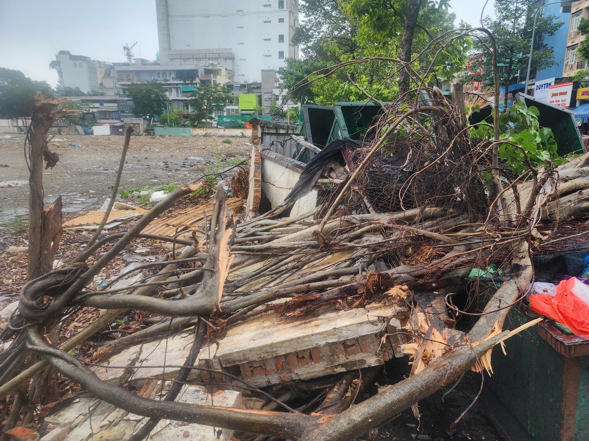Quận 10: C&acirc;y xanh li&ecirc;n tục ng&atilde; đổ, hiện trường ngổn ngang- Ảnh 2.