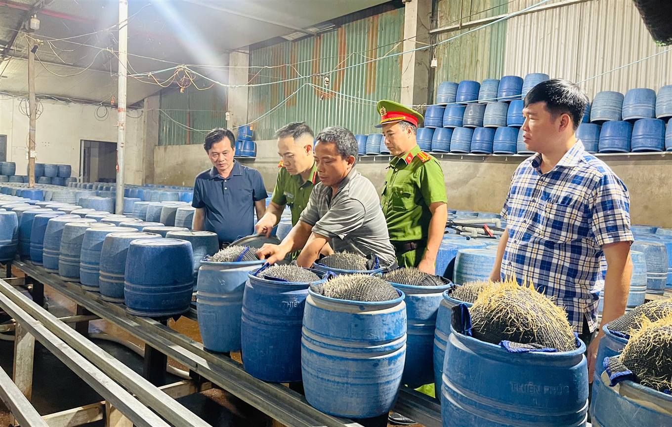 Khởi tố 3 người trong vụ sản xuất 350 tấn giá đỗ bằng hóa chất độc hại- Ảnh 2.