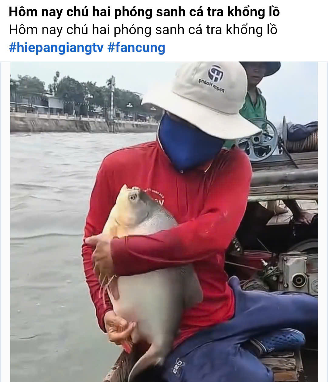 Cộng đồng mạng tranh luận "nảy lửa" vụ thả c&aacute; chim trắng ph&oacute;ng sinh - Ảnh 1.