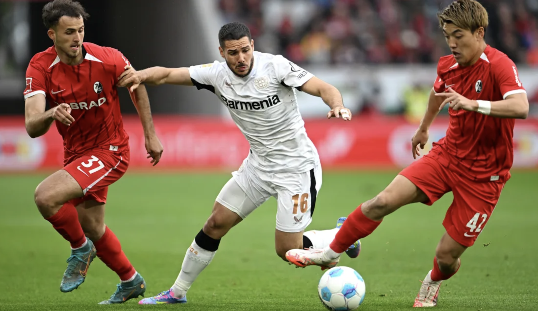 Leverkusen "dâng" cúp, Bayern Munich và Harry Kane vô địch Bundesliga- Ảnh 1.