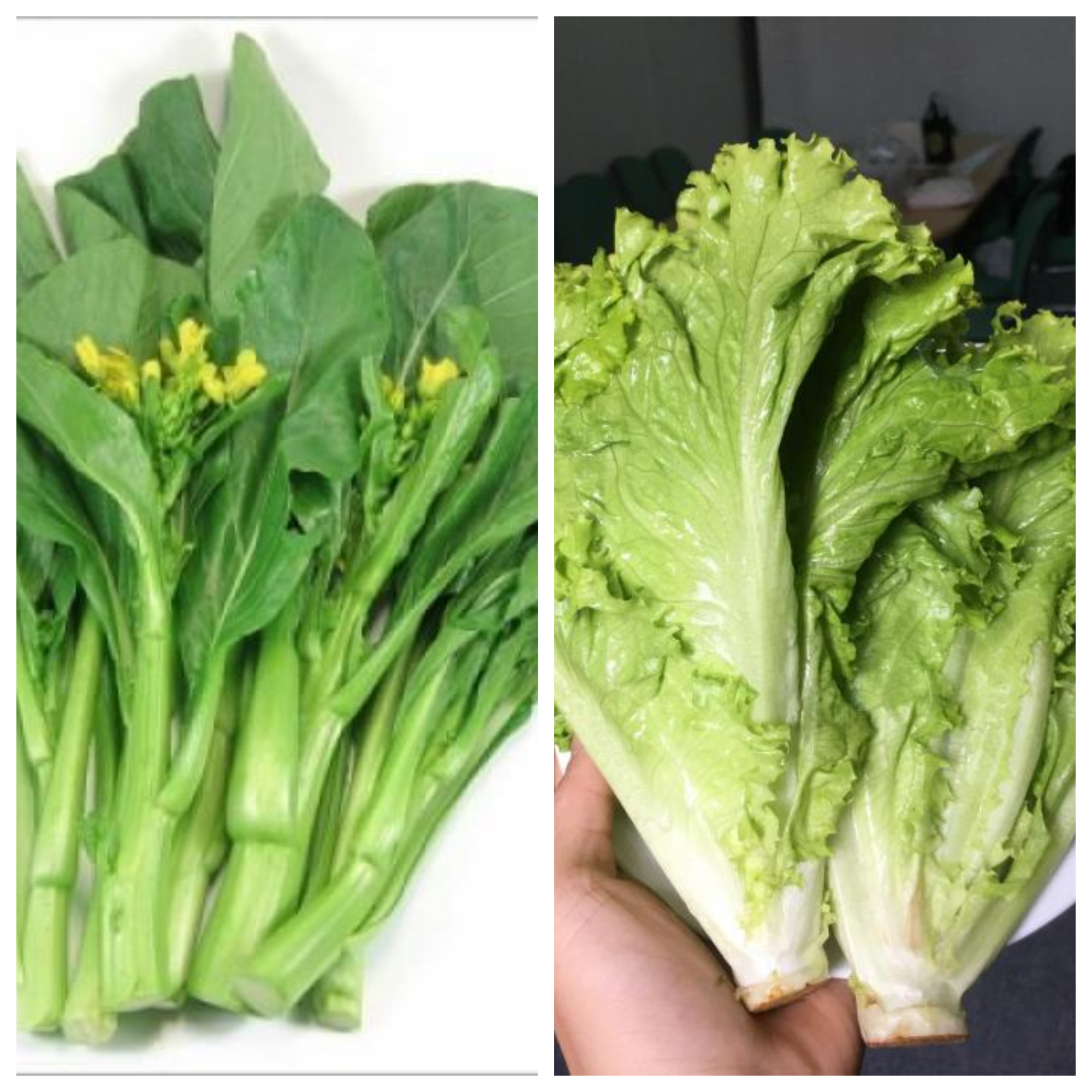 Đốt mỡ cực nhanh với 7 loại thực phẩm quen thuộc- Ảnh 4.
