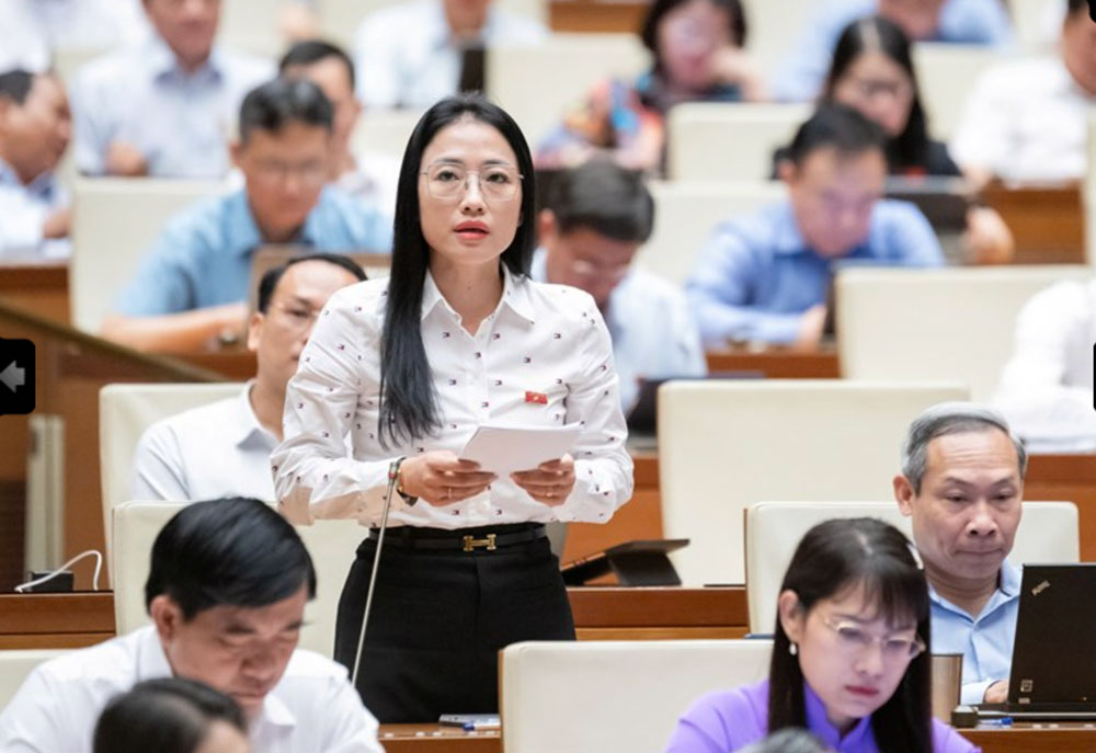 Sửa đổi Hiến pháp vì sự phát triển của đất nước - Ảnh 1.