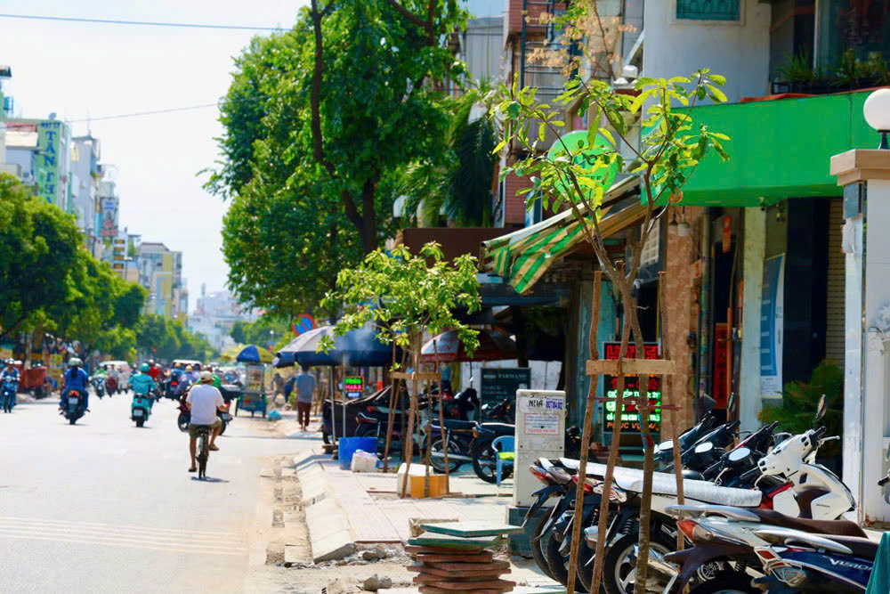 Từ vụ chặt c&acirc;y xanh ở TP HCM: C&aacute;i c&acirc;y m&agrave; biết n&oacute;i năng...! - Ảnh 1.