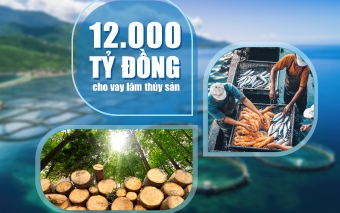 VietinBank tiếp tục đầu tư vào lĩnh vực lâm, thủy sản