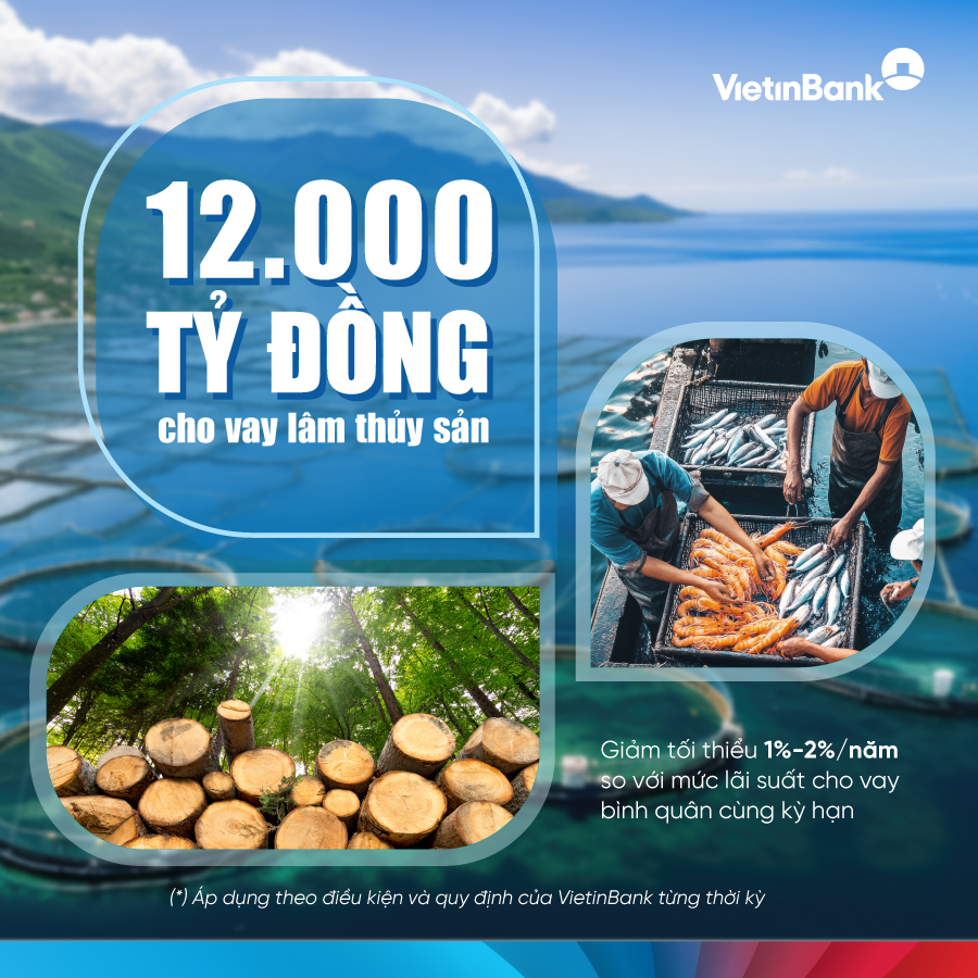 VietinBank tiếp tục đầu tư v&agrave;o lĩnh vực l&acirc;m, thủy sản- Ảnh 1.