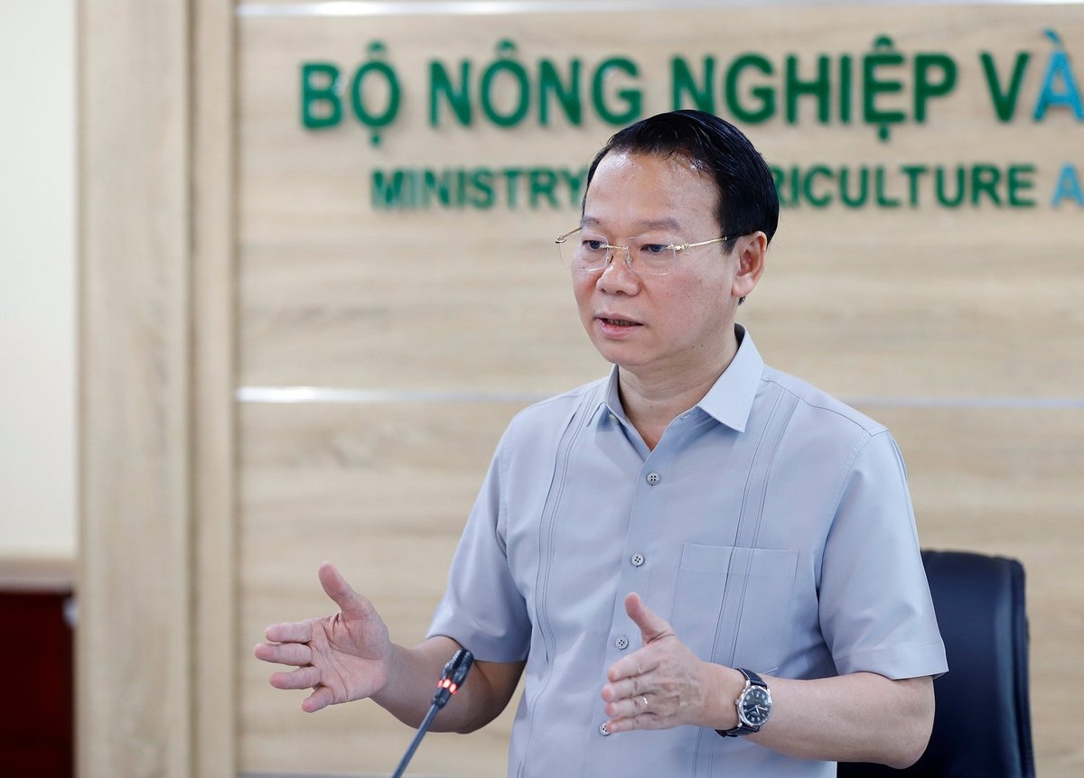 Xuất khẩu sầu ri&ecirc;ng sang Trung Quốc sụt giảm nghi&ecirc;m trọng, Bộ N&ocirc;ng nghiệp v&agrave; M&ocirc;i trường họp b&agrave;n- Ảnh 1.