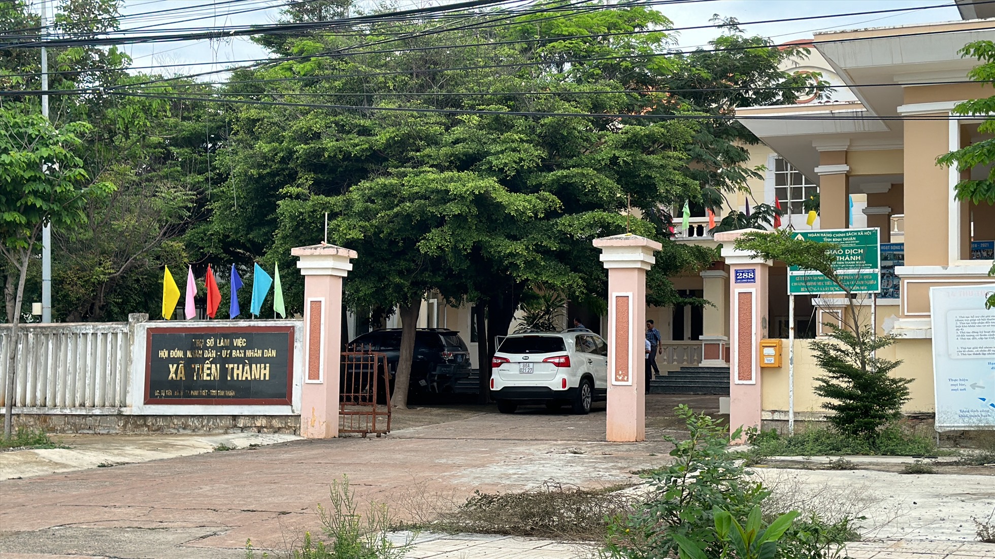 Kiến nghị chuyển hồ sơ vụ cấp tr&aacute;i ph&eacute;p hơn 21.000 m&sup2; đất tại Phan Thiết sang cơ quan c&ocirc;ng an - Ảnh 1.