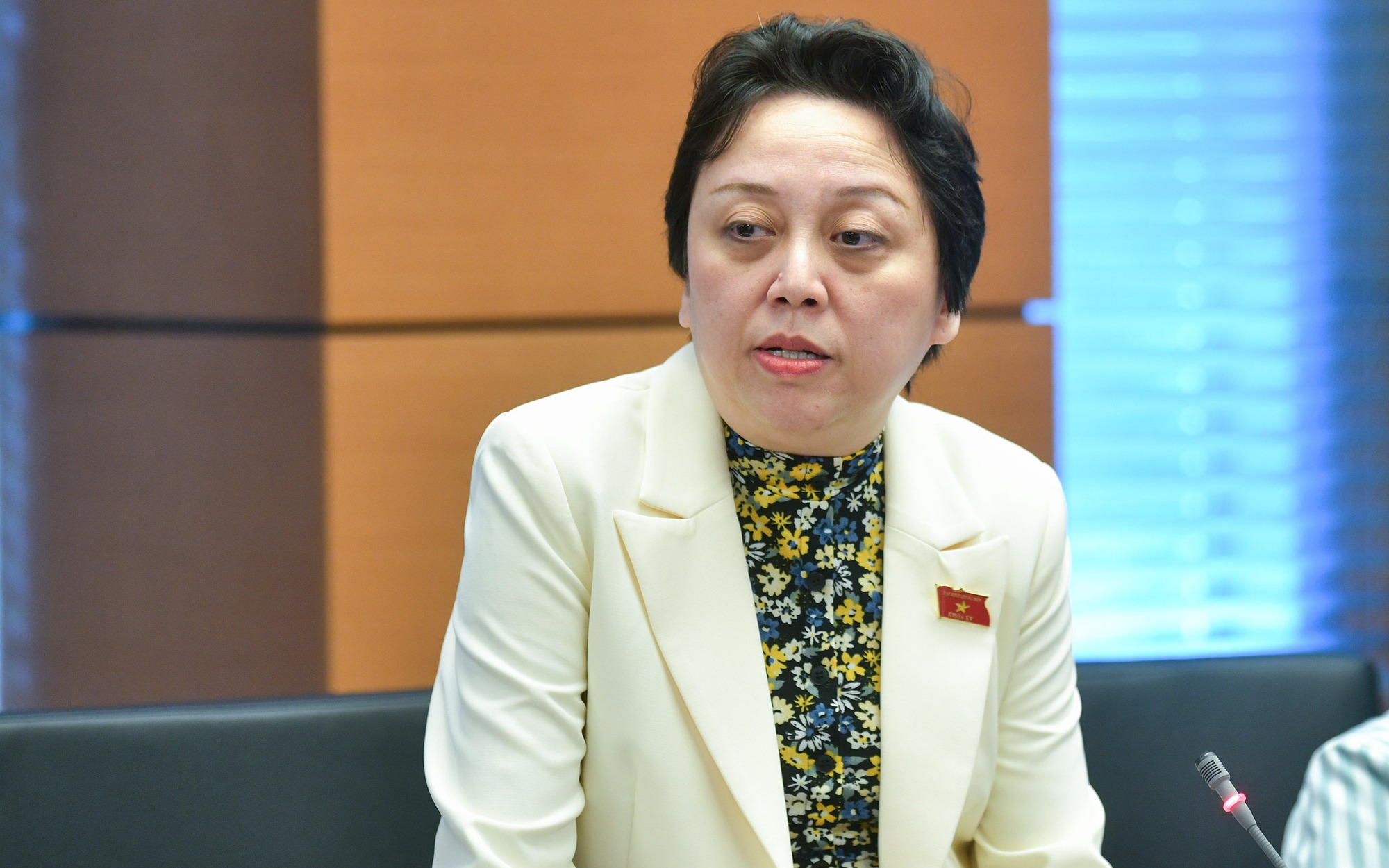 Bà Phạm Khánh Phong Lan: Báo chí vừa thông tin, đi  kiểm tra đâu cũng nói "em hết lòng xe điếu"