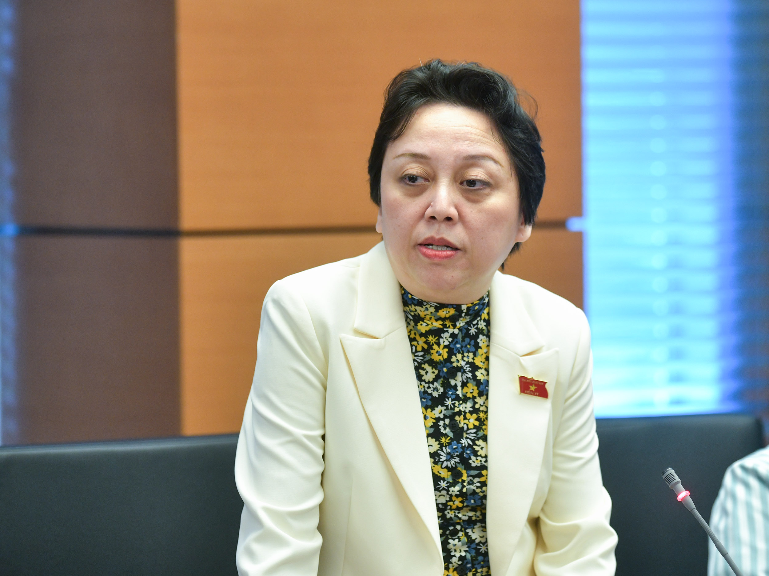 Bà Phạm Khánh Phong Lan: Vừa thông tin kiểm tra, đâu cũng nói "em hết lòng xe điếu" - Ảnh 1.