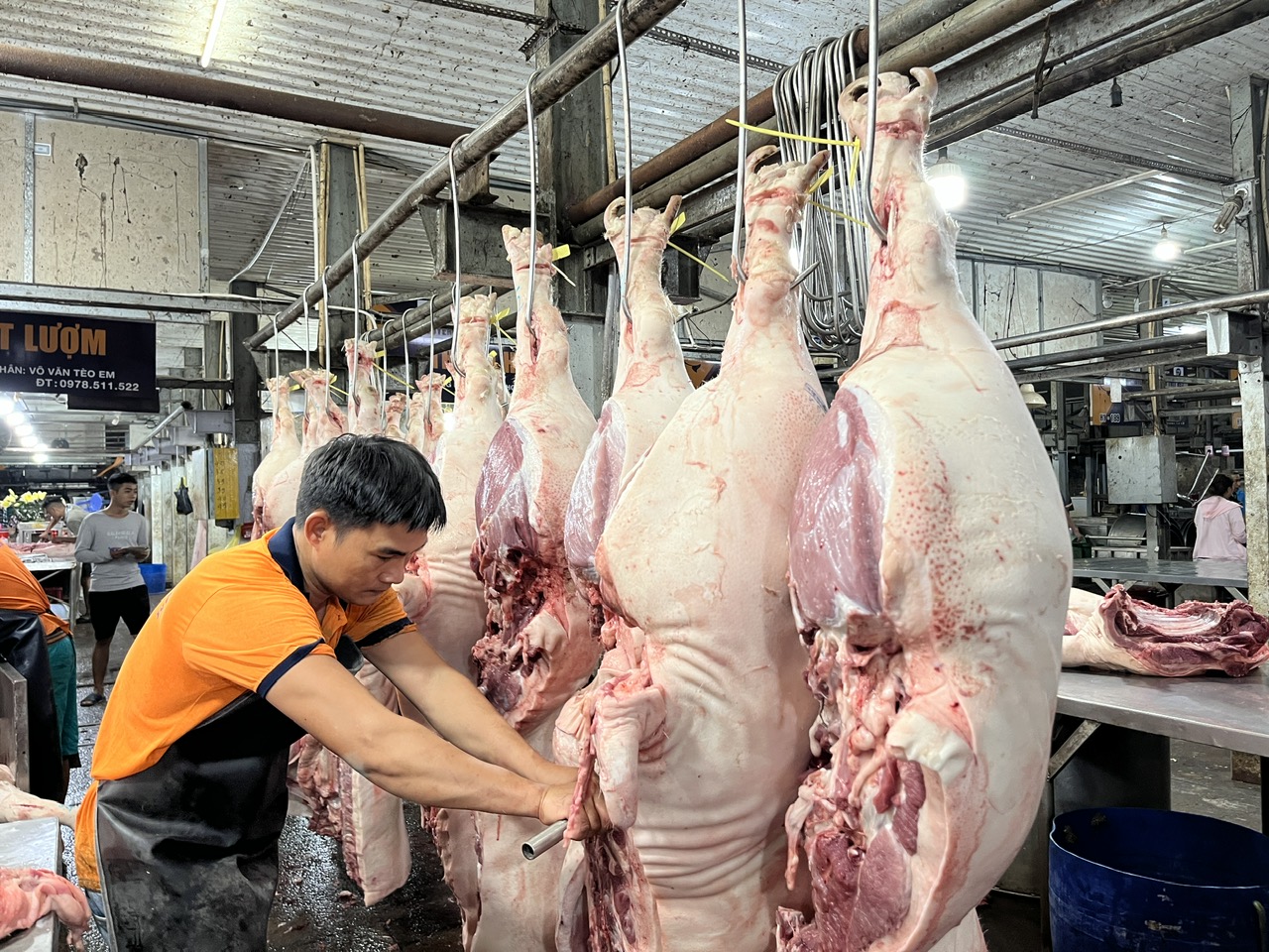 Gi&aacute; heo hơi h&ocirc;m nay 8-5: Diễn biến lạ của thị trường khi gi&aacute; heo neo cao- Ảnh 1.