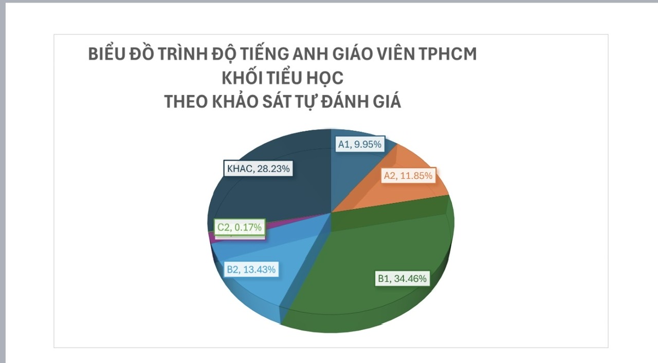 Công bố kết quả khảo sát năng lực tiếng Anh của cán bộ, giáo viên TP HCM- Ảnh 1.