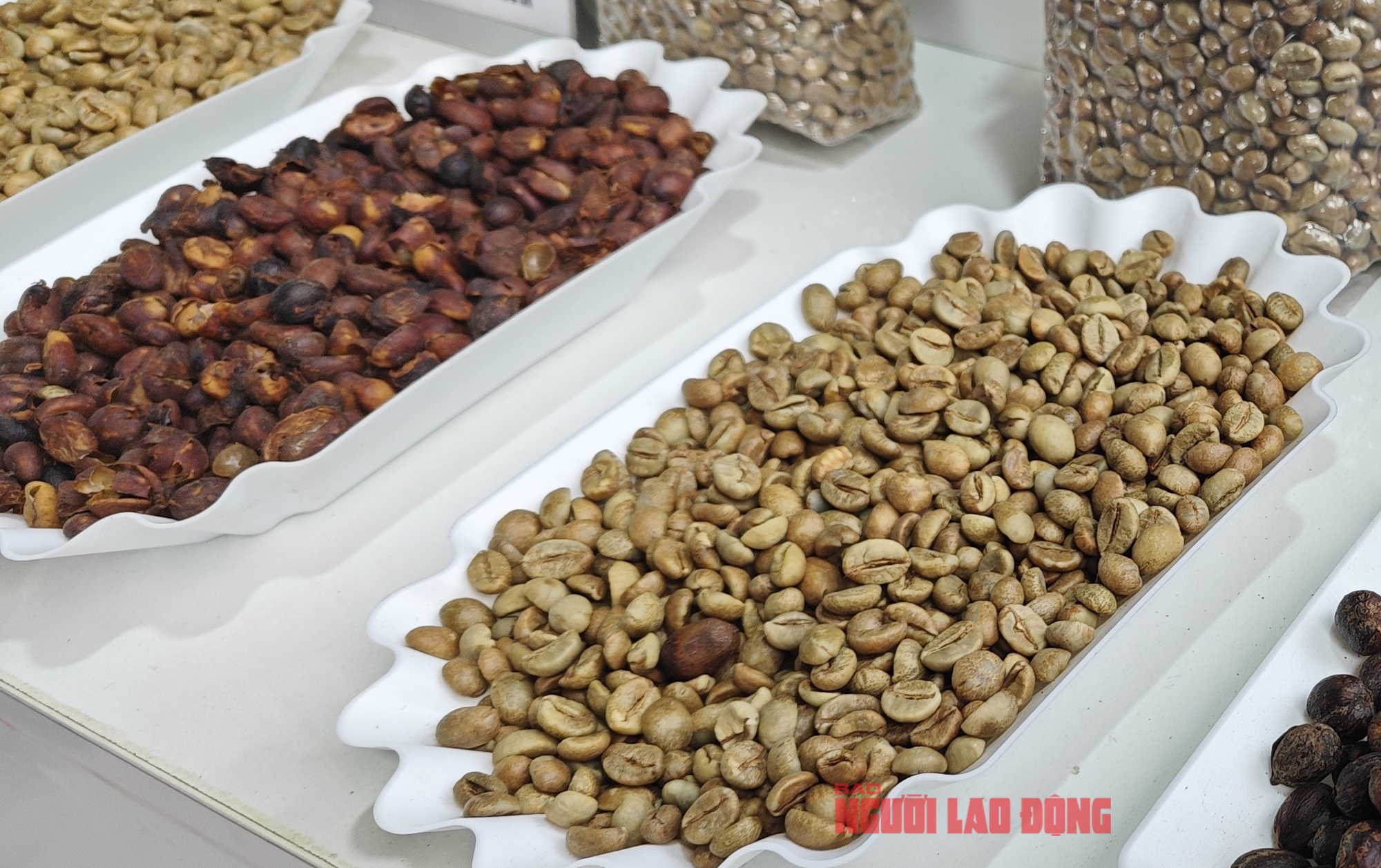 Gi&aacute; c&agrave; ph&ecirc; h&ocirc;m nay 9-5: &ldquo;B&iacute; k&iacute;p&rdquo; xuất khẩu Robusta gi&aacute; 6.000 USD/tấn - Ảnh 1.
