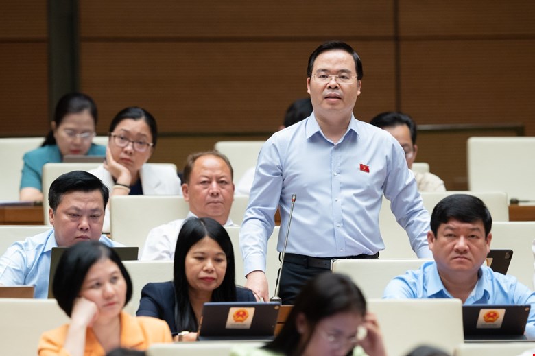 Đại biểu Quốc hội: Dù thuế cao, người dân vẫn phải sử dụng điều hoà- Ảnh 2.