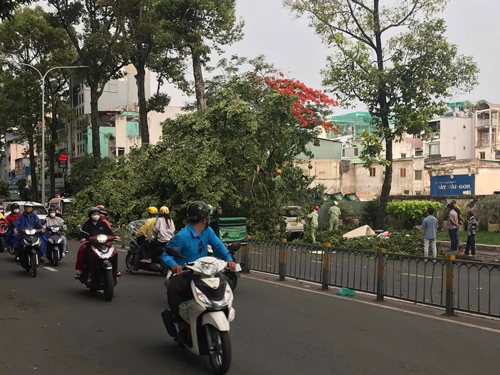 Giảm tổn thất trong m&ugrave;a mưa - Ảnh 2.